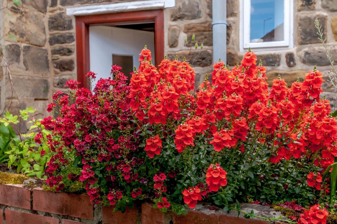 Chimes Cottage Гисбъро Екстериор снимка